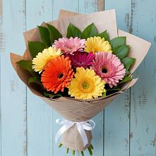 Букет цветов из:  Герберы в Новопавловске