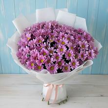 Букет цветов из:  Хризантемы #REPLACE_PRED# Новопавловске