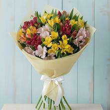 Букет цветов из:  Альстромерии в Новопавловске
