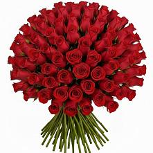 Букет Красные розы Чери Лав #REPLACE_PRED# Новопавловске